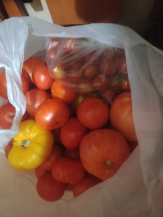 Продам чеснок озимый дачный