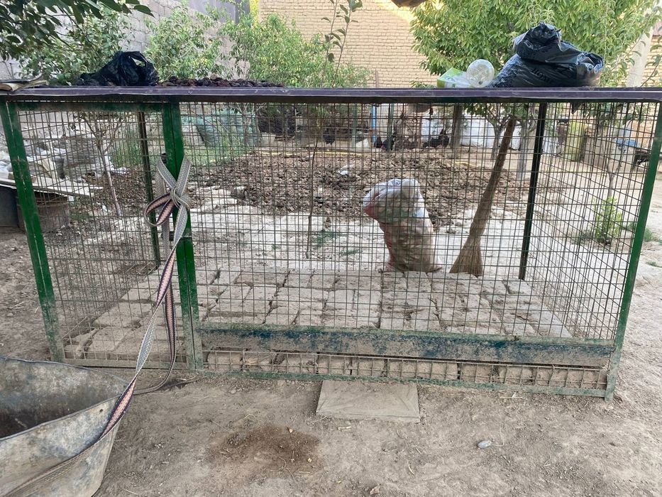 Товук катак (сетка)