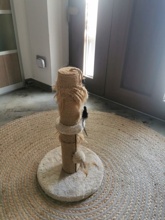 Loc joaca pisica/pisici