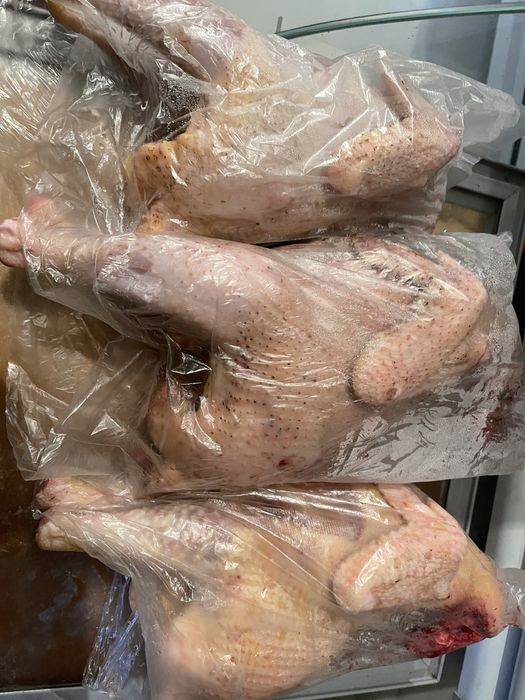 Продажа домашней птицы