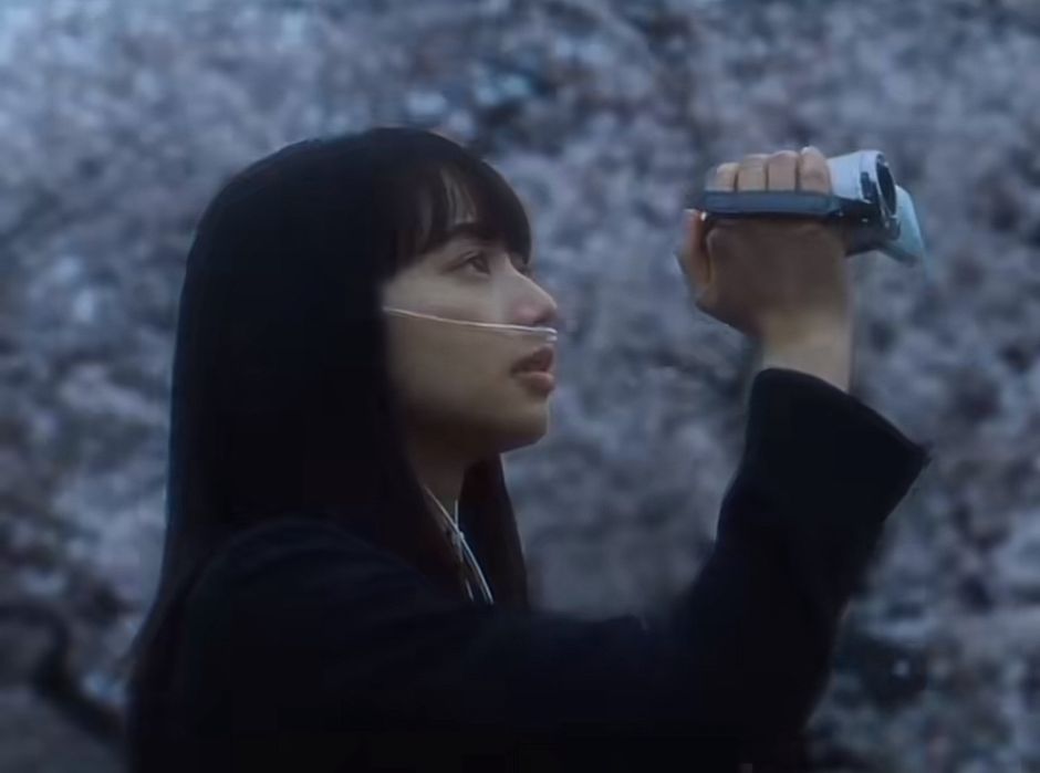 Sony Handycam DSR-45sr