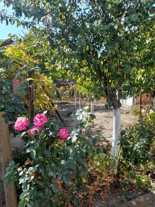 Продажба на къща в село Бръшляница