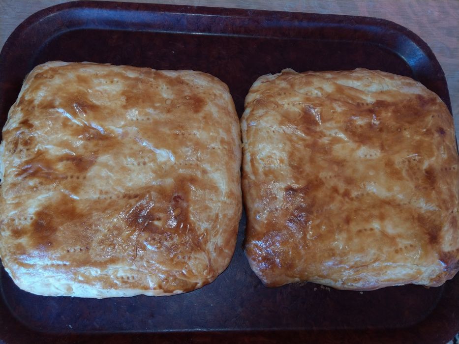 Щякярьлямя и кята