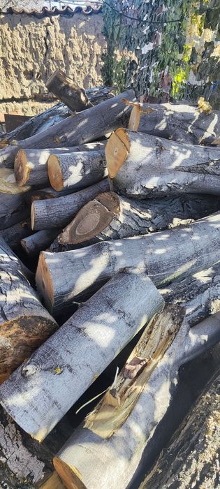 Продавам орех за материал