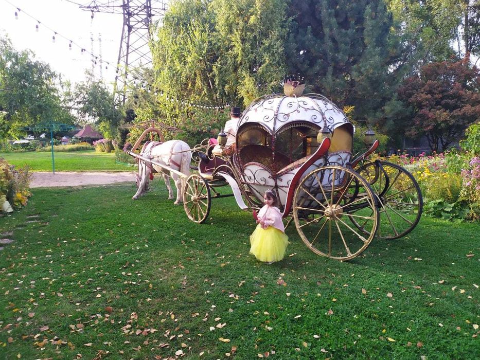 карета, фаэтоны "Золушка" "Диана"