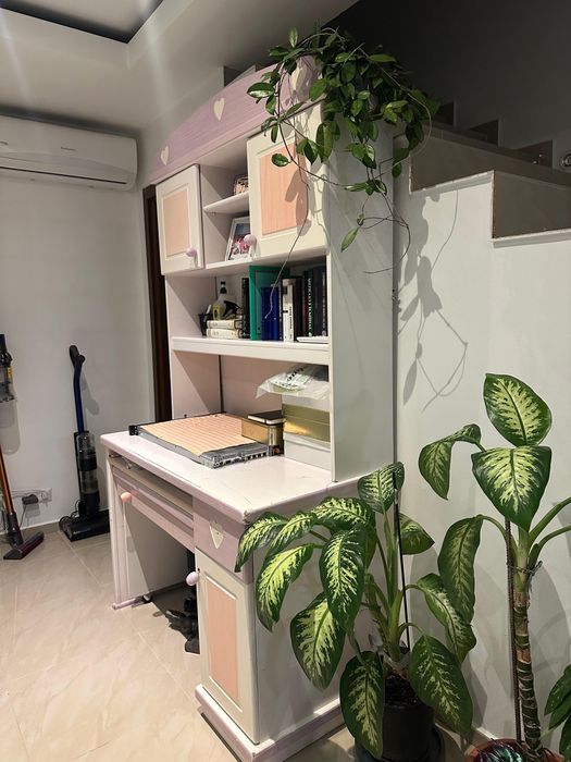 Donez Birou de fetite