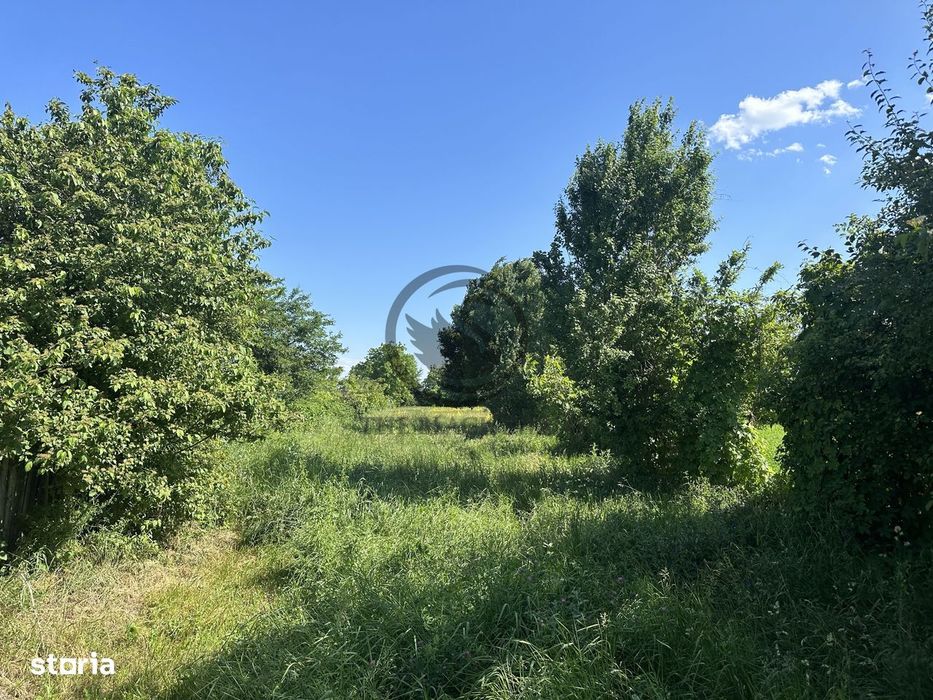 Teren intravilan de vanzare | 11.000 mp | Ghirdoveni | Comision 0%