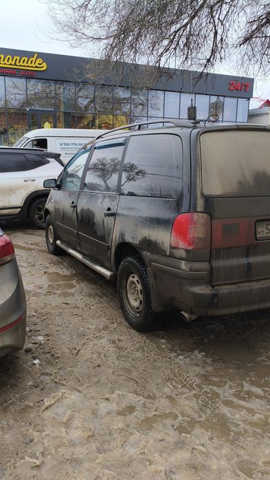 Шаран сатылады срочно