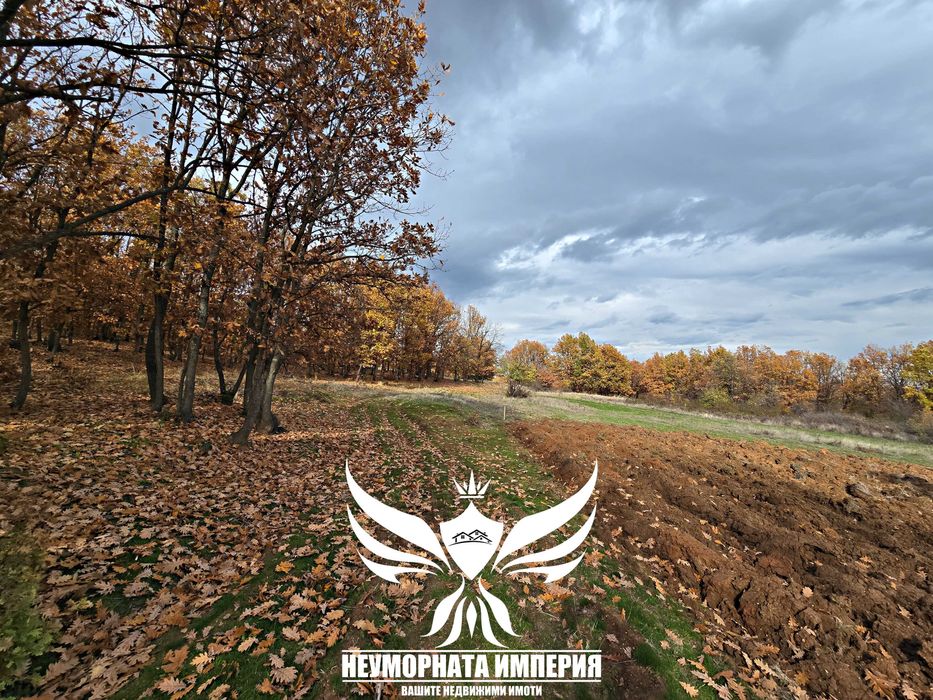 Продавам два броя земи в село Стоево 1120кв.м.  общ.Асеновград