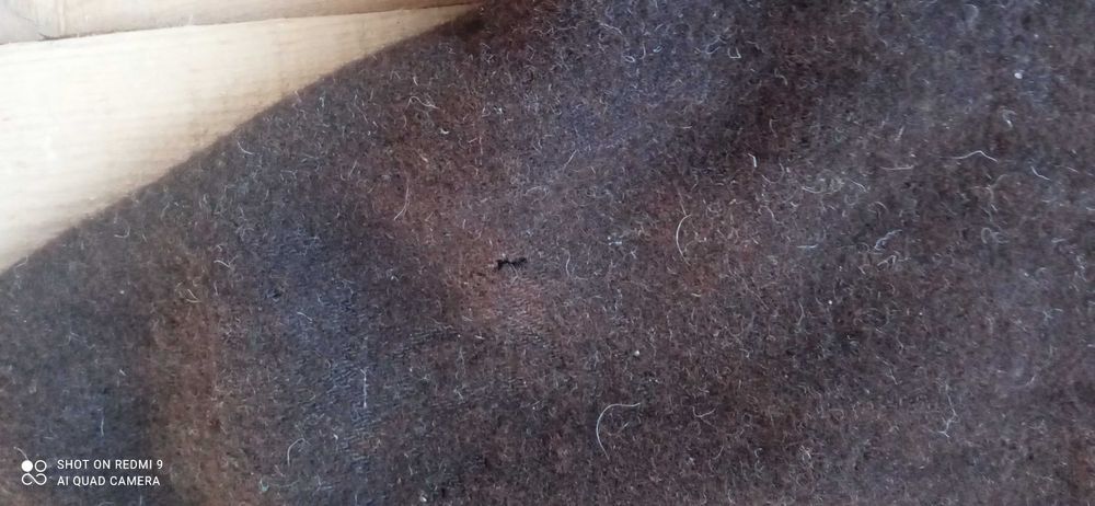 Автентични родопски потури