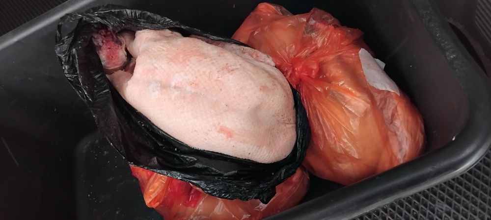 Продам Гуся домашнего.