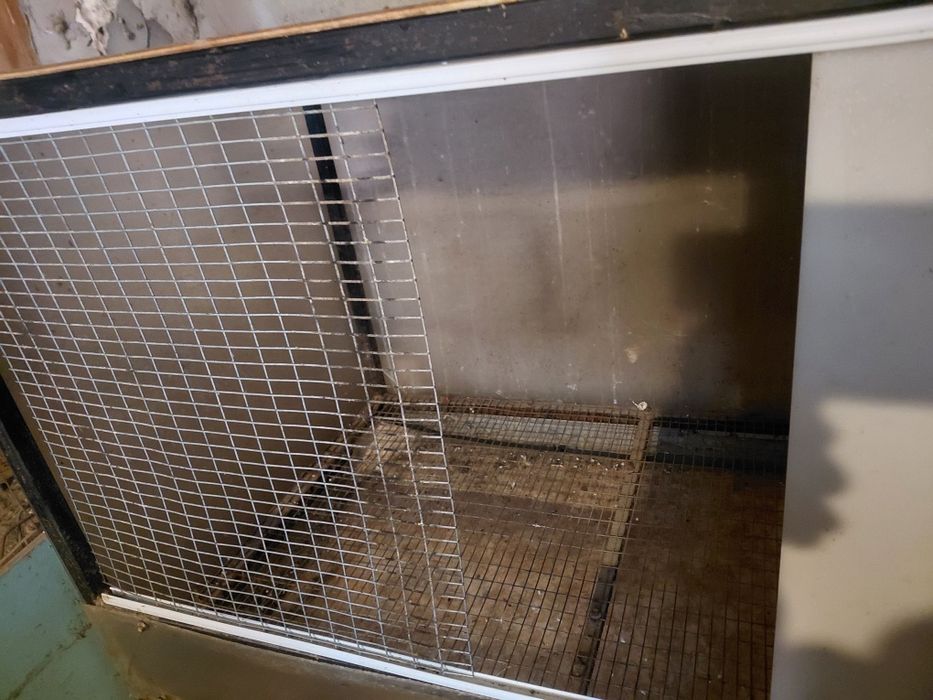 Брудер двухъярусный для цыплят