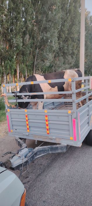 Прицеп йенгил машиналар учун