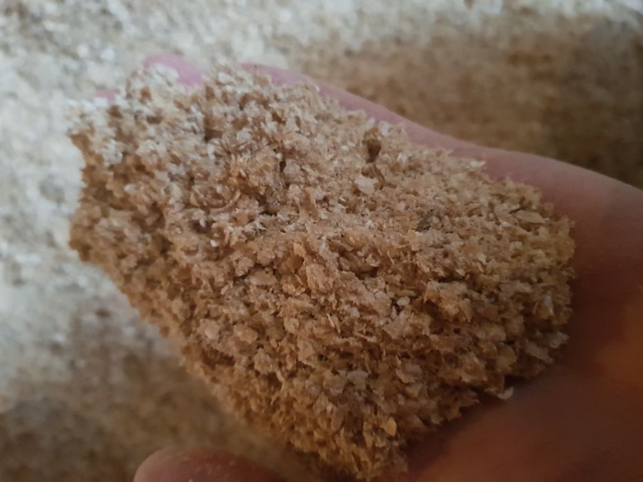 Отруби пшеничные - Кебек