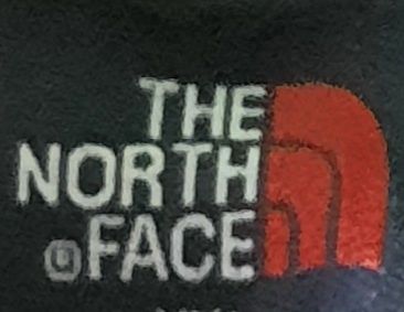 Kъси панталони THE NORTH FACE