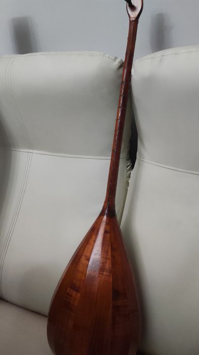 Домбыра профессионалды