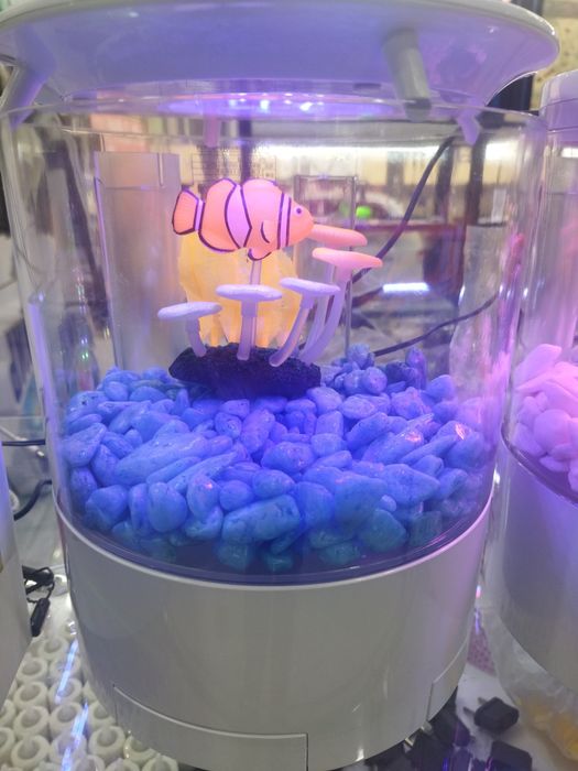 Akvarium va baliqlar Doʻkoni