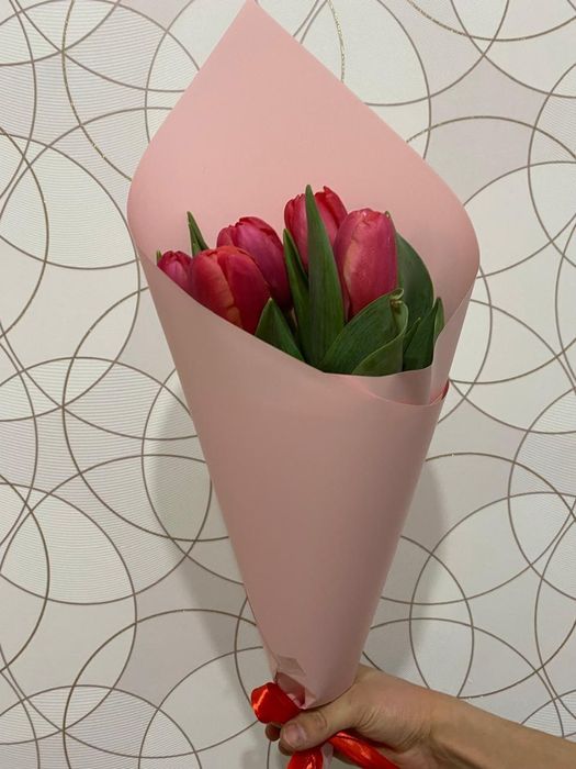 Тюльпан, тюльпаны