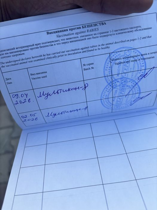Продам немецкую овчарку