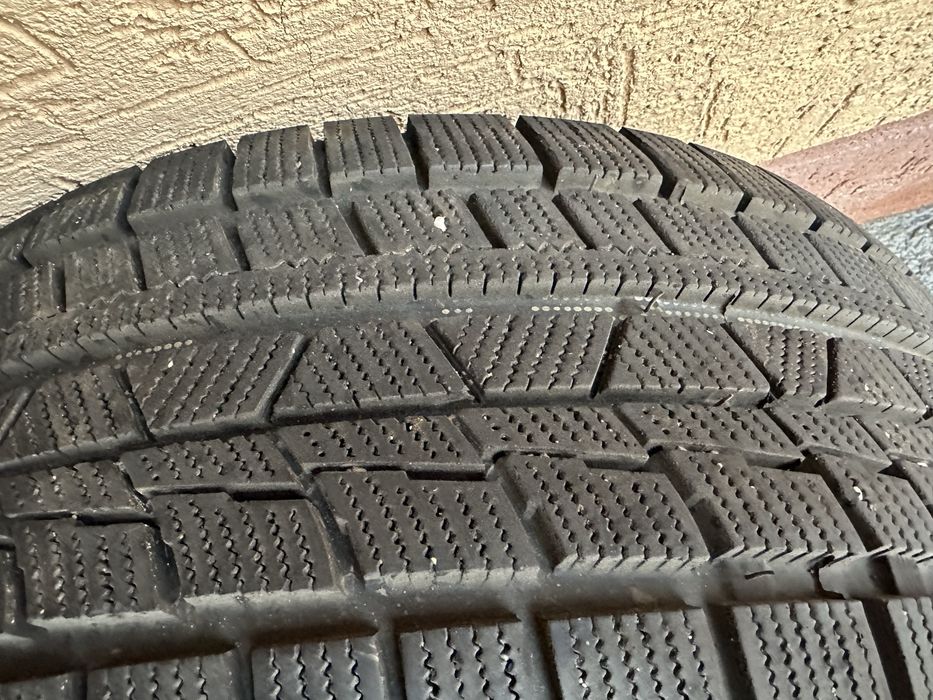 Болоный   зимний