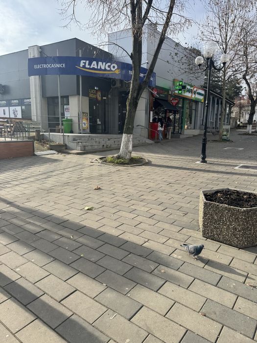 320 mp Spatiu de inchiriat in Dorohoi