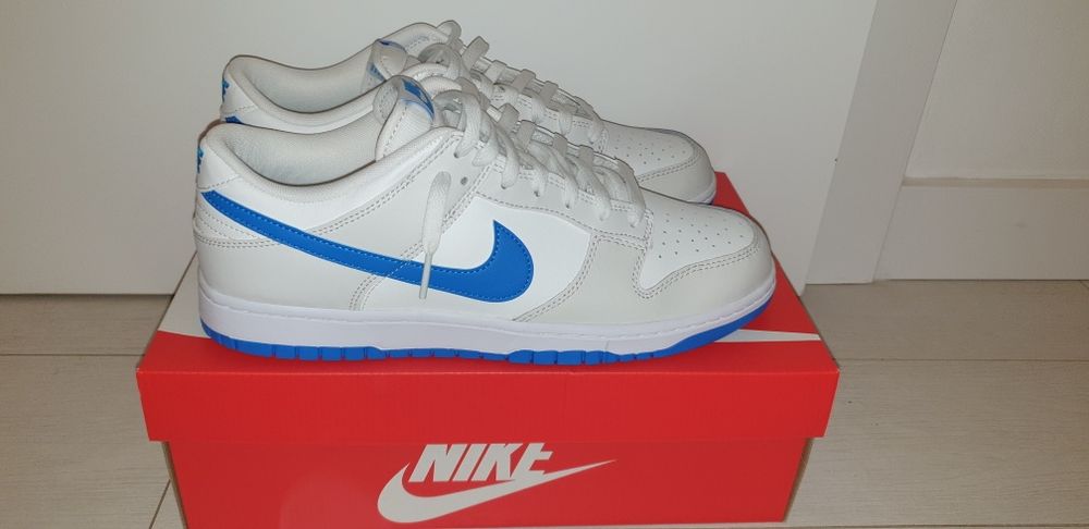 Nike dunk low 45