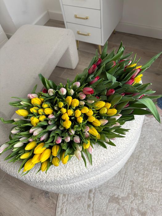 Тюльпаны оптом и в розницу