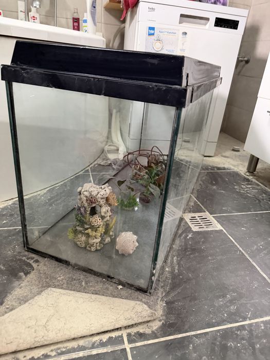 Vand acvariu 100*40*50h