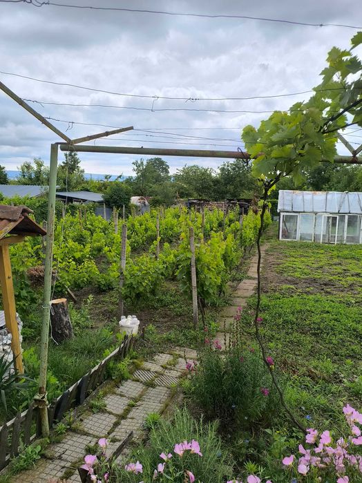 Продавам Вила в гр. Шумен местност ,,Под Манастира"