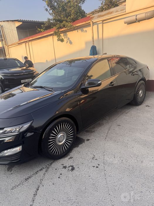 Malibu 2 xl 2023 kraska bor