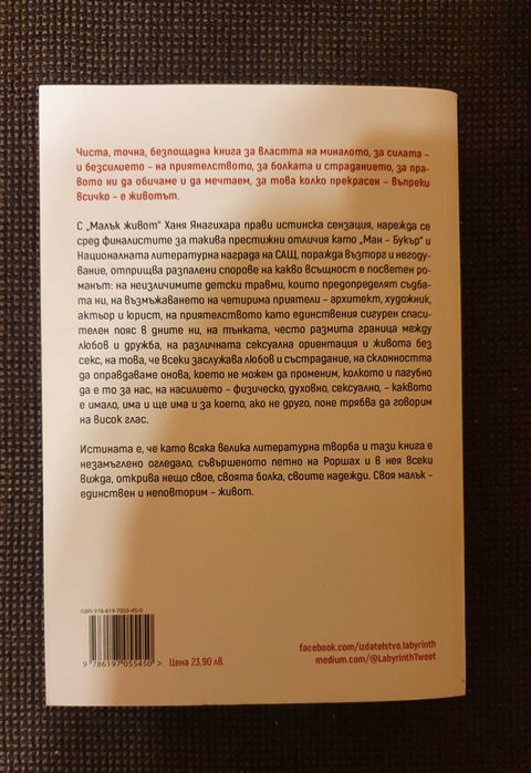 Малък живот - Ханя Янагихари