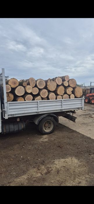 Lemne de foc arad gai