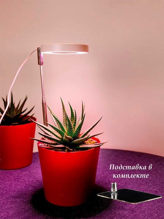 Фитолампа для растений. Полный спектр. С USB, таймером, на штативе