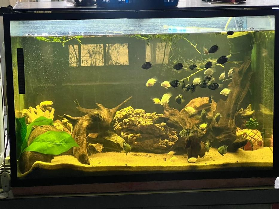 Продам аквариум 150л