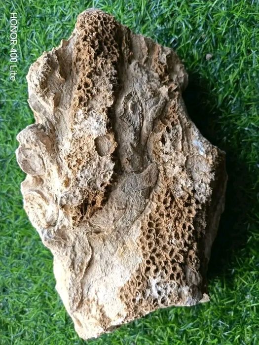 Минерали и фосили