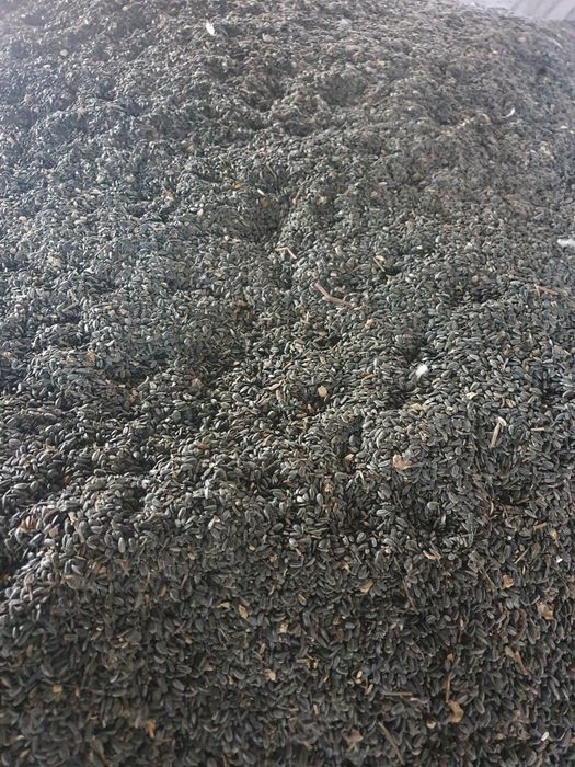 Vând furaj pentru porci , purcei , viței, pui, găini