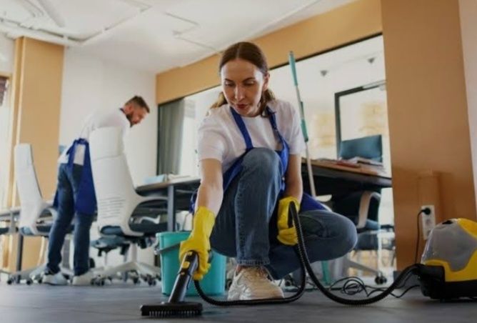 Professional tozalash xizmati