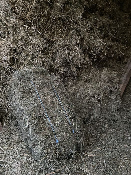 Fan de vanzare ne plouat