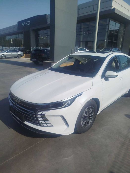 BYD CHAZOR 55km Luxe