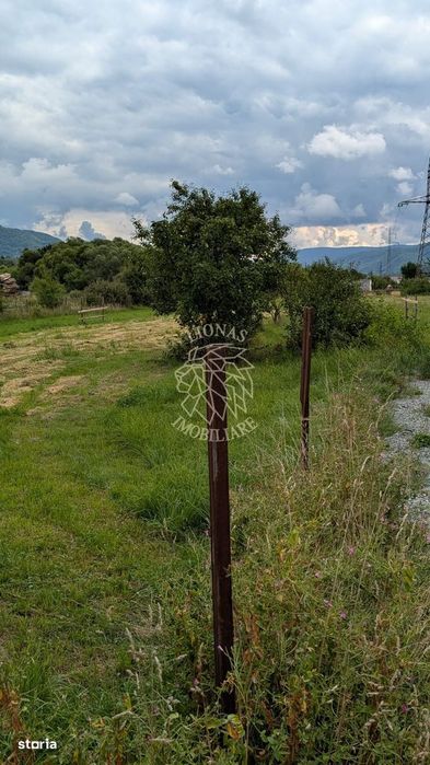 Teren intravilan 7727 mp-Parcelabil-utilitati-Bistrita Bargaului