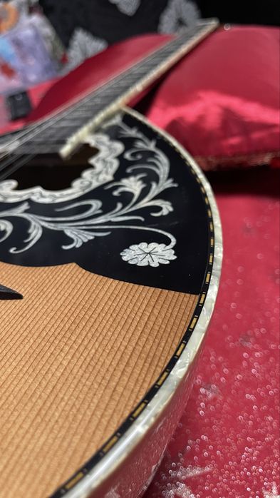 Бузуки майстор Stamkos, с куфар и адаптер.