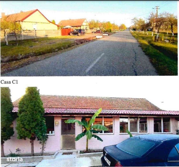 2 Case P - 123mp + 70mp + Teren-2.302 mp + Anexe, Sanovita