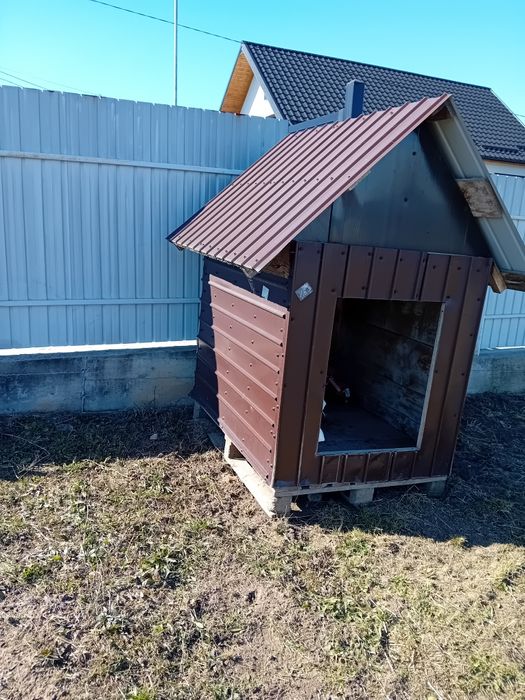 Vând coteț cățel