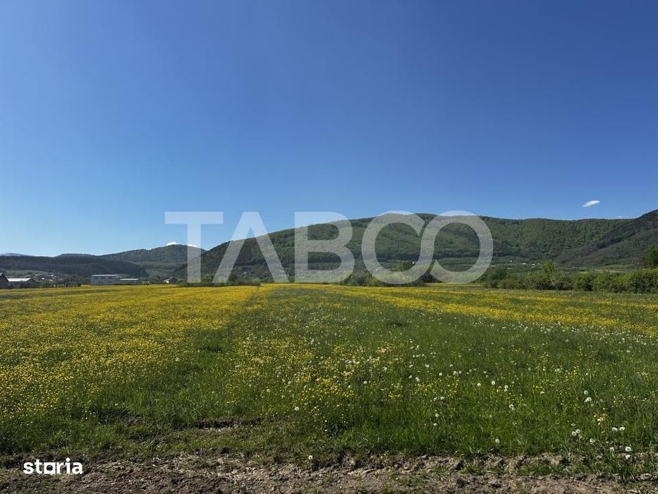Teren de vanzare cu suprafata de 3000 mp zona industriala Poplaca