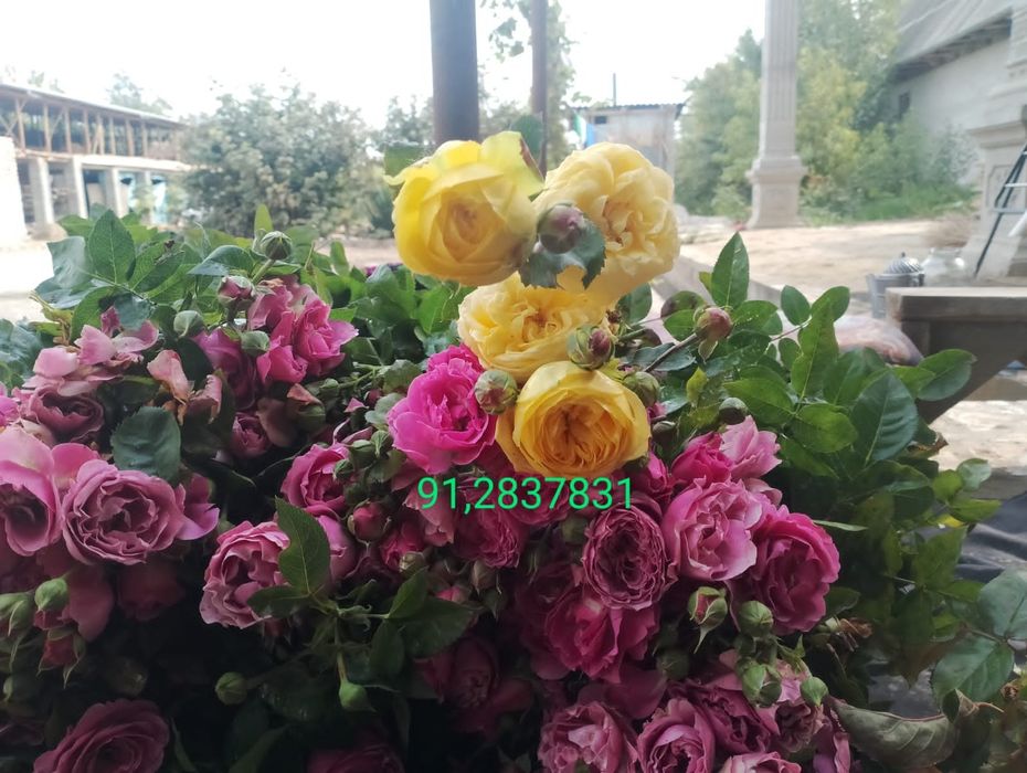 Дехкончилик гарантия качества