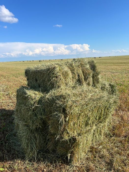 Сено хорошего  качества