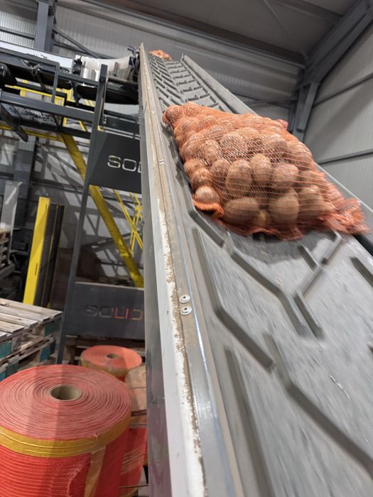 Cartofi consum si samanta carrera,riviera E, bellarosa, ect