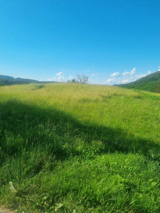 Vand teren intraviland 4820 mp Luncoiu de Jos