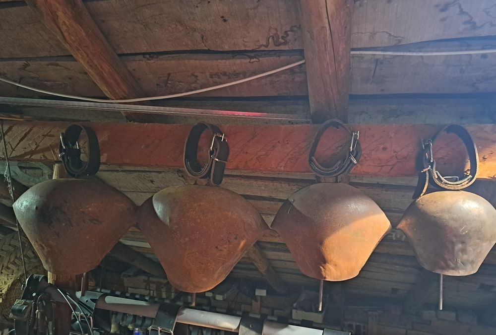 Хлопки 4 броя гголеми.  Чан. Чанове