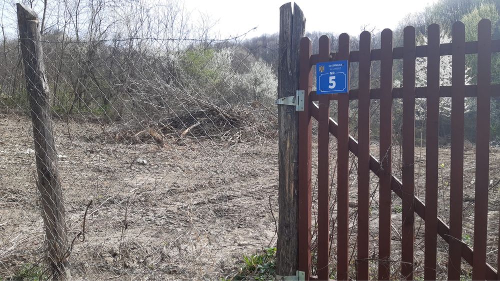 Teren intravilan si padure